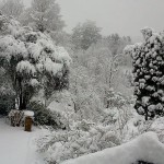 Are you Snowed in?