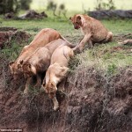 There is Hope, story of two mothers