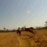 The Buck stops here