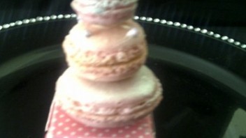 Baking Tannie 2013 – Tasnim Jadwat Casoojee-  Bonbons et Voila