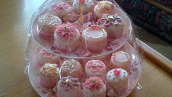 Baking Tannie 2013 Fatima Ebrahim – Mini Delights