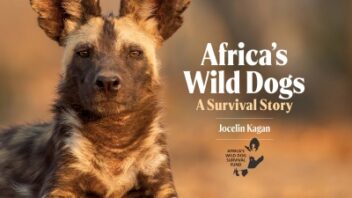 Africa’s Wild Dogs: Jocelyn Kagan